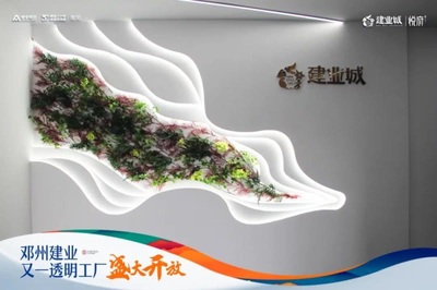 以品质 鉴真章丨邓州建业城透明工厂全景盛放